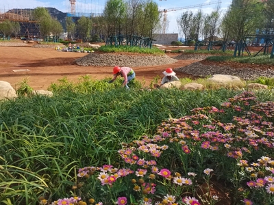 興義市文化藝術中心項目綠化工程穩(wěn)步推進 為城市增添生態(tài)人文新地標